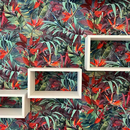 Lotus & 3* Ρίμινι